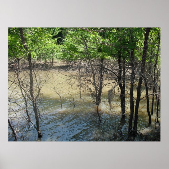 Póster O pântano (Frente)