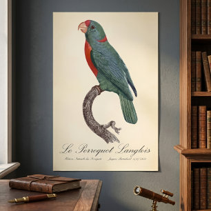 Poster O Papagaio Langlois de Jacques Barraband
