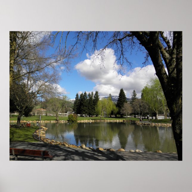 Poster O Parque depois da Tempestade (Frente)