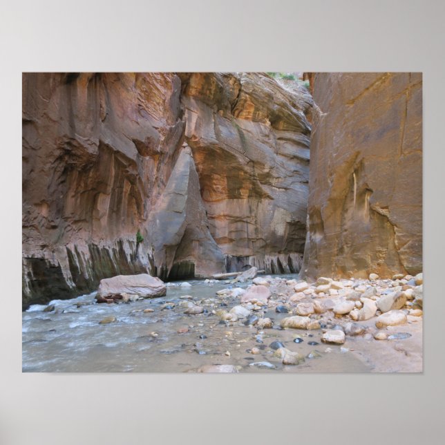 Poster O Parque Nacional do Zion dos Estreitos (Frente)