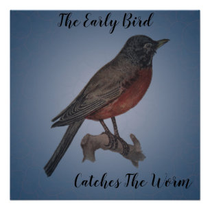 Póster O pássaro adiantado trava o sem-fim