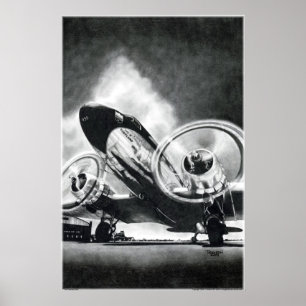 Poster O Pássaro Gooney