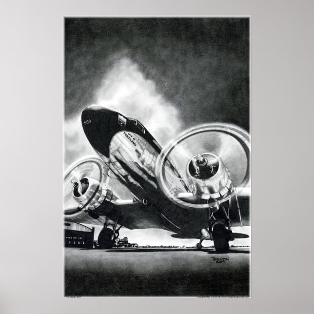 Poster O Pássaro Gooney (Frente)