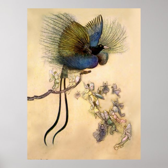Poster “O Pássaro Mais Bello” por Warwick Goble (Frente)