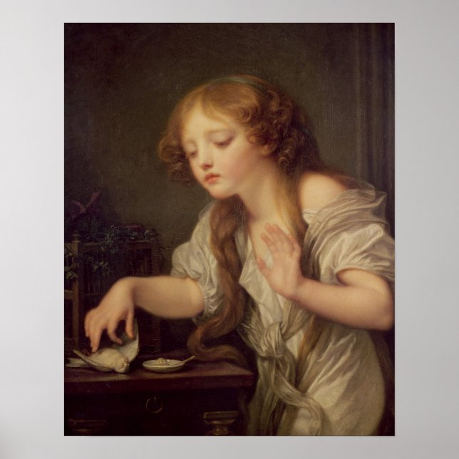 Poster O Pássaro Morto (Frente)