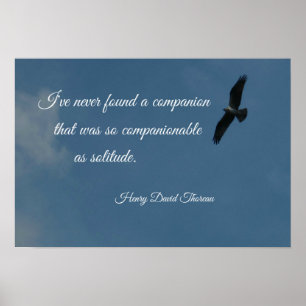 Póster O pássaro voando alto com uma citação sobre a s