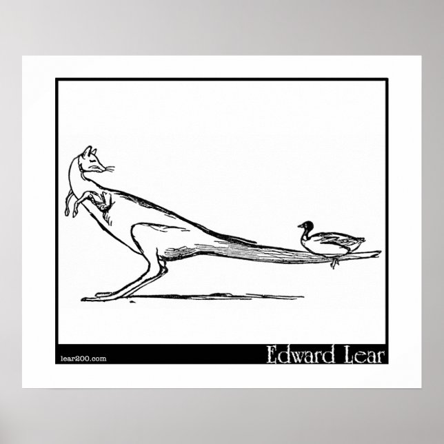 Póster O Pato e o Canguru (Frente)