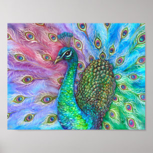 Póster O Peacock. perfeito