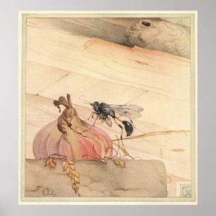 Poster O PELOPAEUS SPIRIFEX - ilustração de livro do