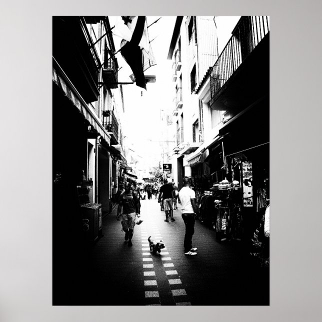 Póster O pequeno cachorro na rua (Frente)