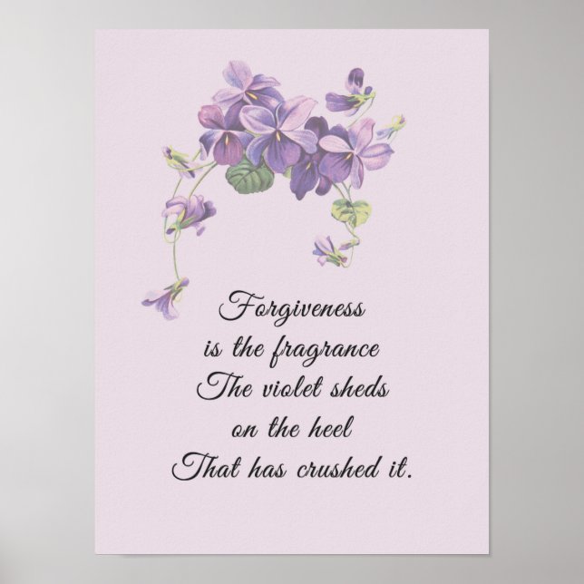 Poster O perdão é a fragrância das folhas violetas (Frente)