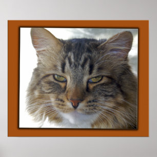 Póster O PIC de Zak