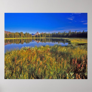 Póster O pico do índice reflete no lago de lama no