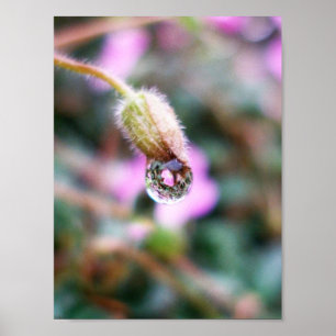 Póster O pingo de chuva guardara a reflexão