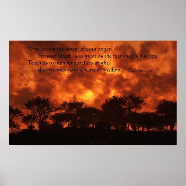 Póster O poder da raiva (Frente)