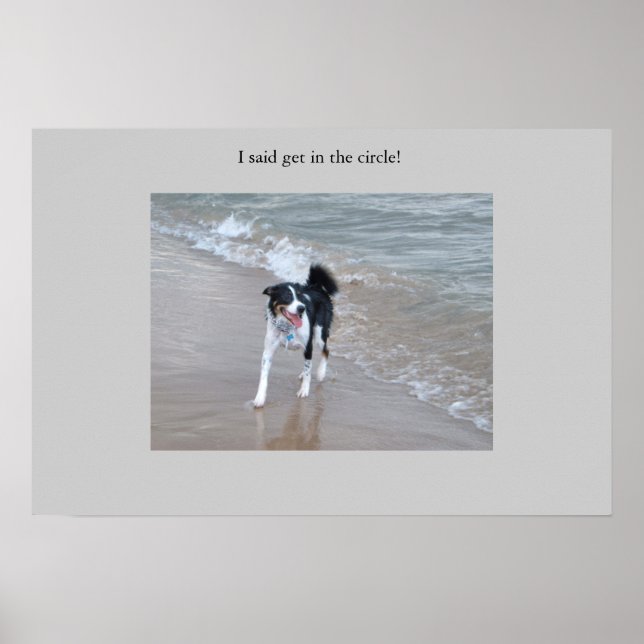 Póster O poderoso Collie (Frente)