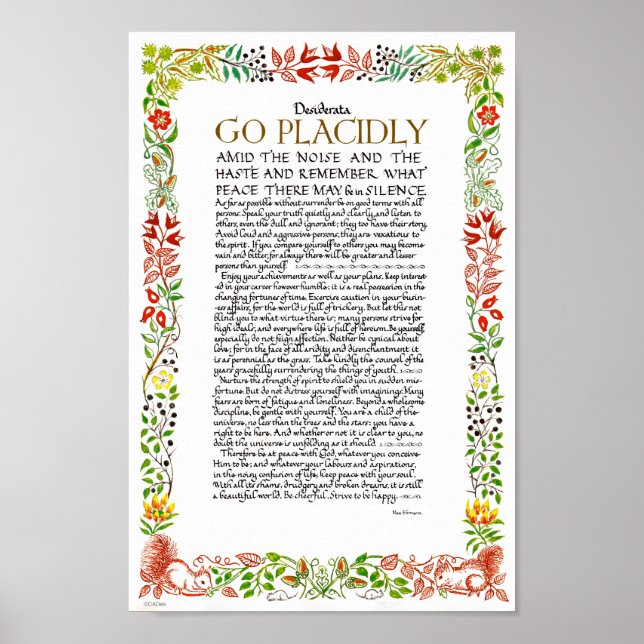 Póster O Poema Desiderata de Max Ehrmann Wildflower (Frente)