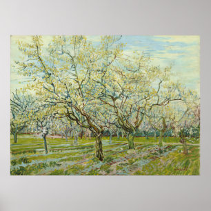 Póster O pomar branco de Vincent Van Gogh