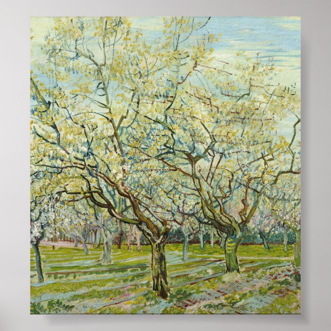 Poster O pomar branco de Vincent Van Gogh (Frente)