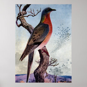 Póster O pombo de passageiro