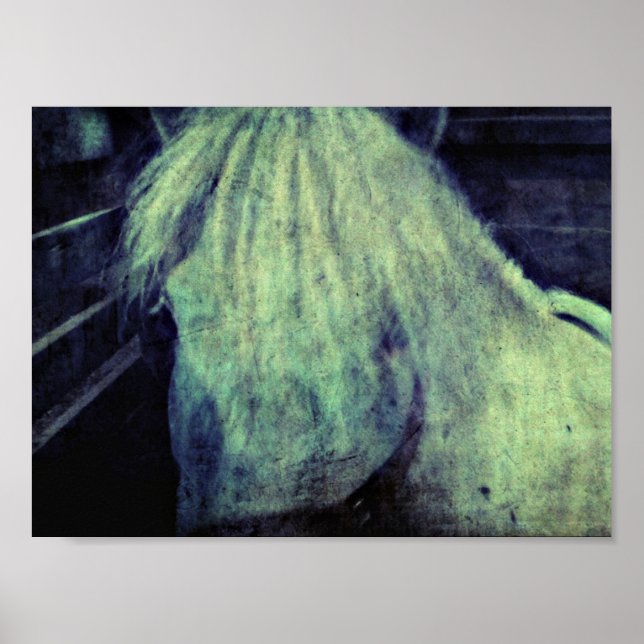 Póster O Pôneo (Frente)