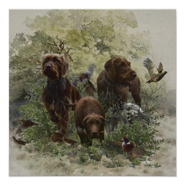 Póster O Ponteiro (Frente)