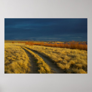 Poster O pôr do sol destaca o latido vermelho dos arbust