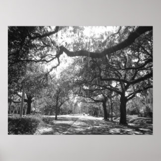 Póster O Porto da Natureza