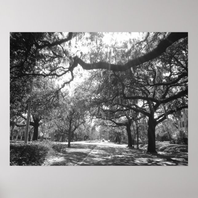 Póster O Porto da Natureza (Frente)