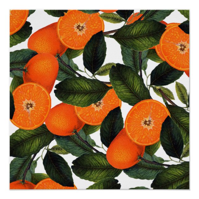 Póster O poster de laranja proibido 20x20 (Frente)