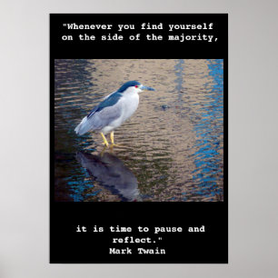 Poster O poster, pausa e reflete o pássaro de água