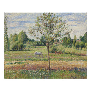 Póster O Prado com Cavalo Cinza, Eragny, Pintura a Óleo