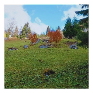 Póster O Prado da Montanha - Natureza Selvagem Romênia