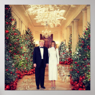 Poster O Presidente dos EUA, White House Natal