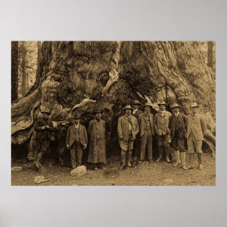 Poster O Presidente Roosevelt e John Muir California Sepi