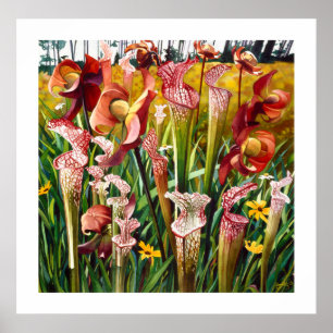 Póster O "primavera floresce" a arte floral da aguarela