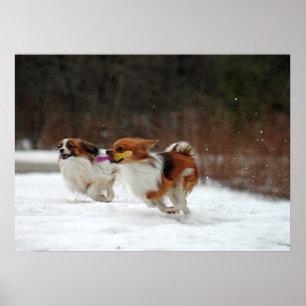 Poster O primeiro dia do inverno 2012