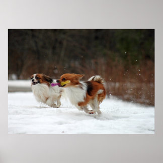 Poster O primeiro dia do inverno de 2012