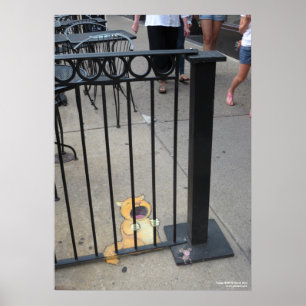 Poster O prisioneiro do gato