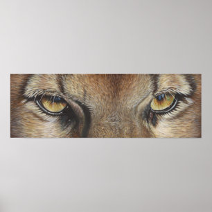 Póster O puma Eyes #2