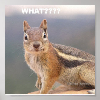 Póster O quê?