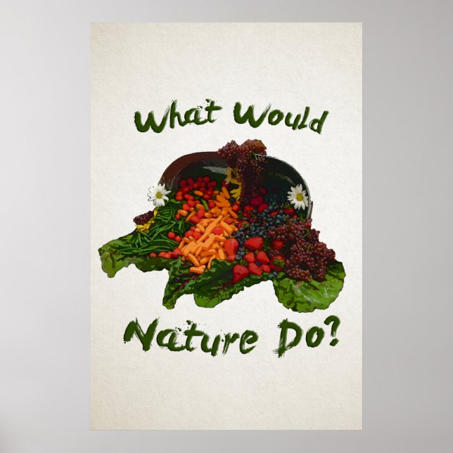 Póster O que a Natureza faria (Frente)