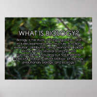 O que é Biologia? Pôster