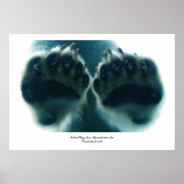 Póster O que eles viram abaixo do gelo