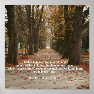 Póster "O que está dentro de nós"