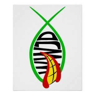 Póster O Que O Joker Faria?