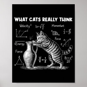 Poster O que os gatos realmente acham engraçado Física de