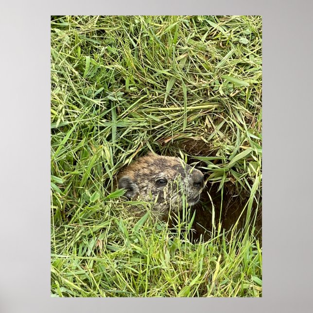 Poster O que se passa? (Frente)