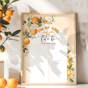 Poster O que será bonito ele ou ela?