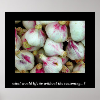 Póster O que seria a vida?..